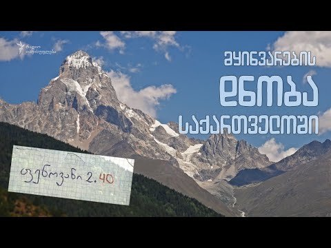 მყინვარების დნობა საქართველოში - (ანონსი) ფენოვანი 2.40