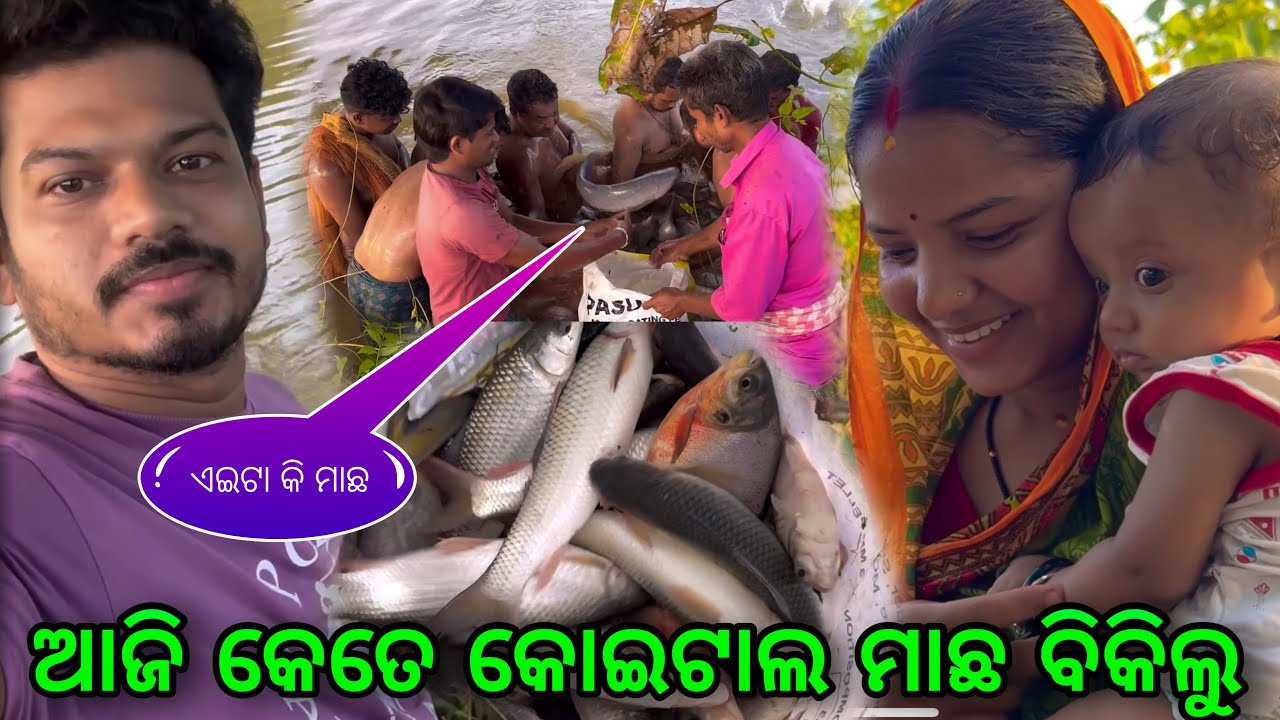 ଆଜି କେତେ କୁଇଣ୍ଟାଲ୍ ମାଛ ବିକିଲୁ / Rupa Pin2 Khushi 