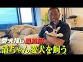 自宅初公開!!清ちゃん愛犬を飼う