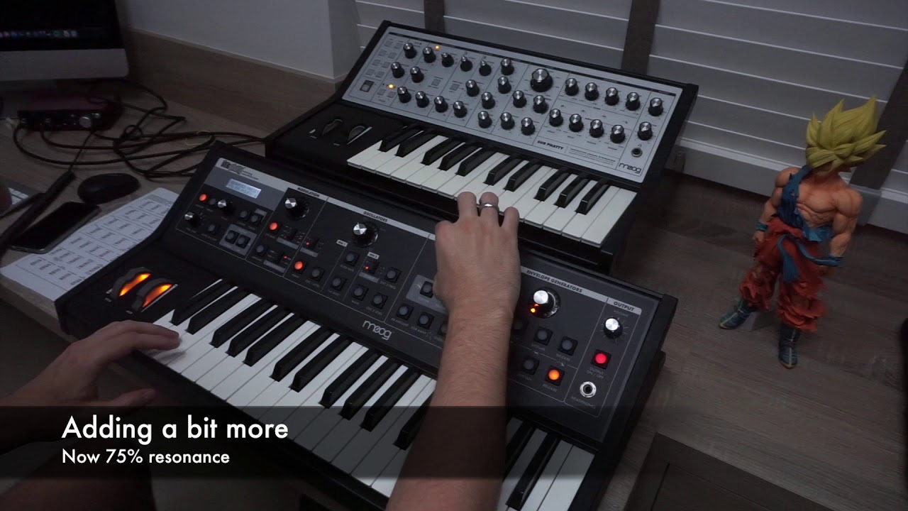Moog Music Inc / SUB PHATTY - YouTube