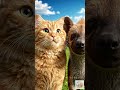 너무 웃긴 엉뚱한 동물들 모음 😂Cute Animals Acting Like Cartoons 3