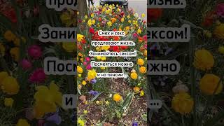 Хмуриться не надо …