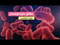حقائق مثيرة للاهتمام حول البكتيريا