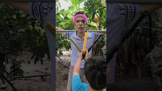 Zoro Theo Luffy Trở Thành Hải Tặc - One Piece