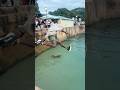 Amapiano Dance Swiming Jump Viral Viralvideo Beach Music Life Fy Foryou Fiypシ Page Jp Amapiano Dance Swiming Jump Viral Viralvideo Beach Music Life Fy Foryou Fiypシ Page Jp