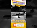 烏克蘭遠程制裁俄羅斯! 防空系統､戰機慘遭襲擊｜20260516 自由短影音｜#shorts