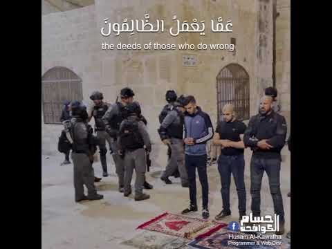 ولا تحسبن الله غافلا عما يعمل الظالمون سورة ابراهيم اسلام صبحي