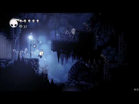 5 seconds of hollow knight every day until silksong news (day 69)