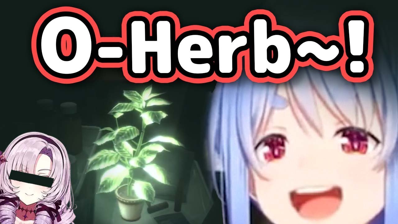 Pekora Says "O-Herb Desu Wa~" Like A Certain VTuber...【Hololive】