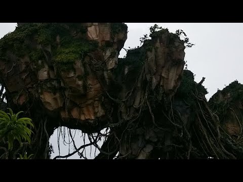 Pandora - Wow
