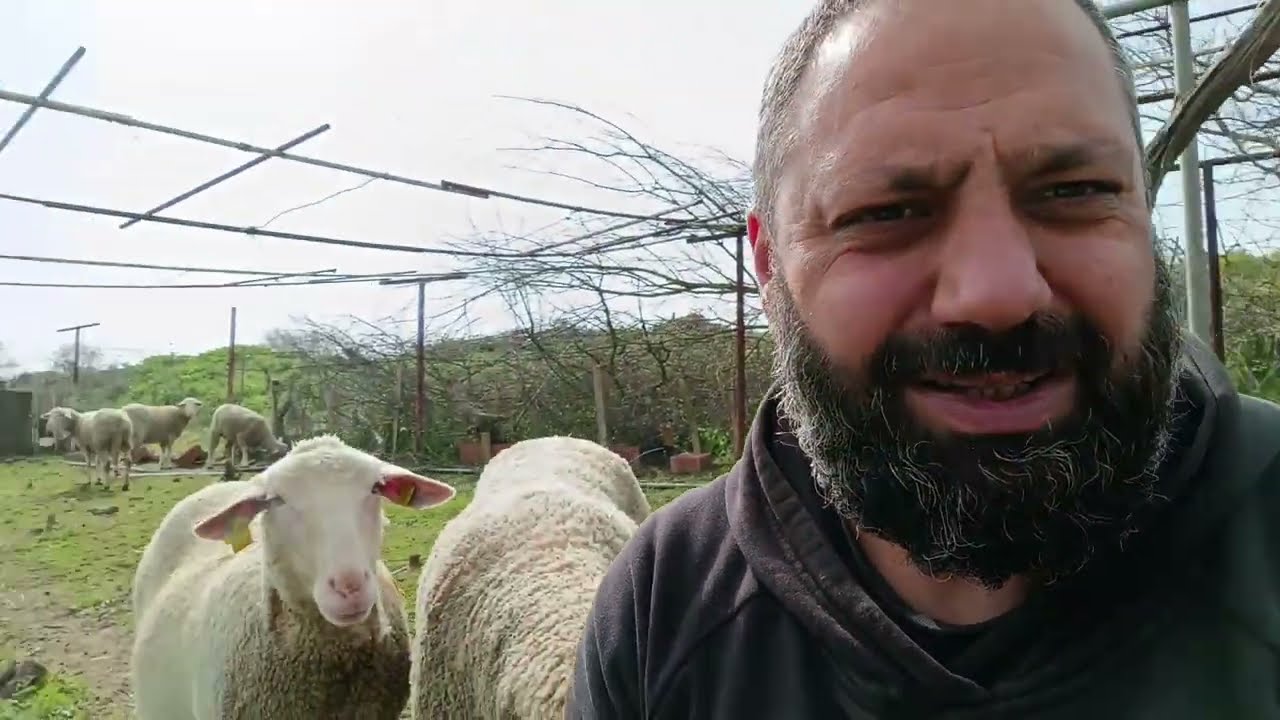 Mazota Zam Dediler Geri Alındı Diğer Herşey Zamlandımı?