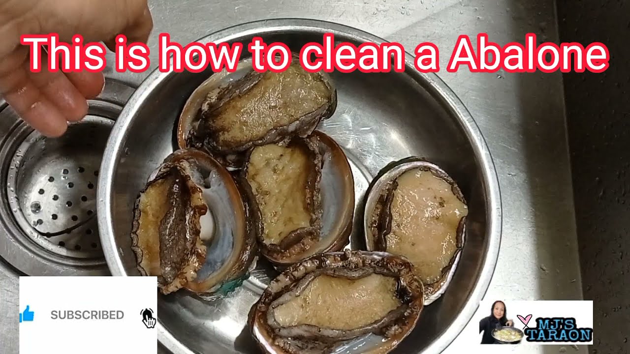 How to clean fresh Abalone|Abalone Seafoods MJ's Taraon