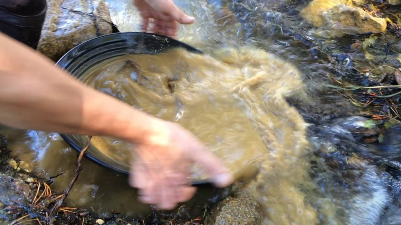 Gold Panning in Colorado YouTube