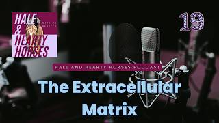 The Extracellular Matrix: The Hidden Environment Inside Your Horse's Body