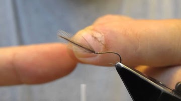 Softhackle - split thread dubbing rib and thorax - tied by Hans Weilenmann