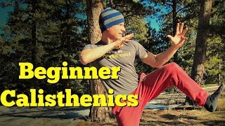 Beginner Bodyweight Calisthenics Core Workout - Basic Beginner Exercise Program (part 6 of 6) screenshot 1