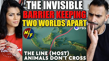 The Invisible Barrier Keeping Two Worlds Apart - REACTION!!