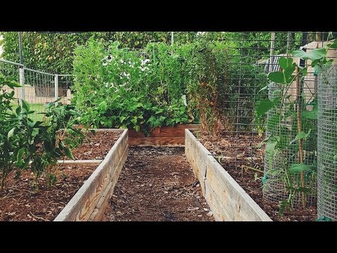 The Best Material For Raised Garden Boxes Weed Em Reap