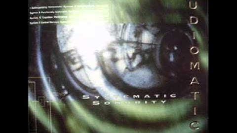 Principia Audiomatica - Holographically Connected System