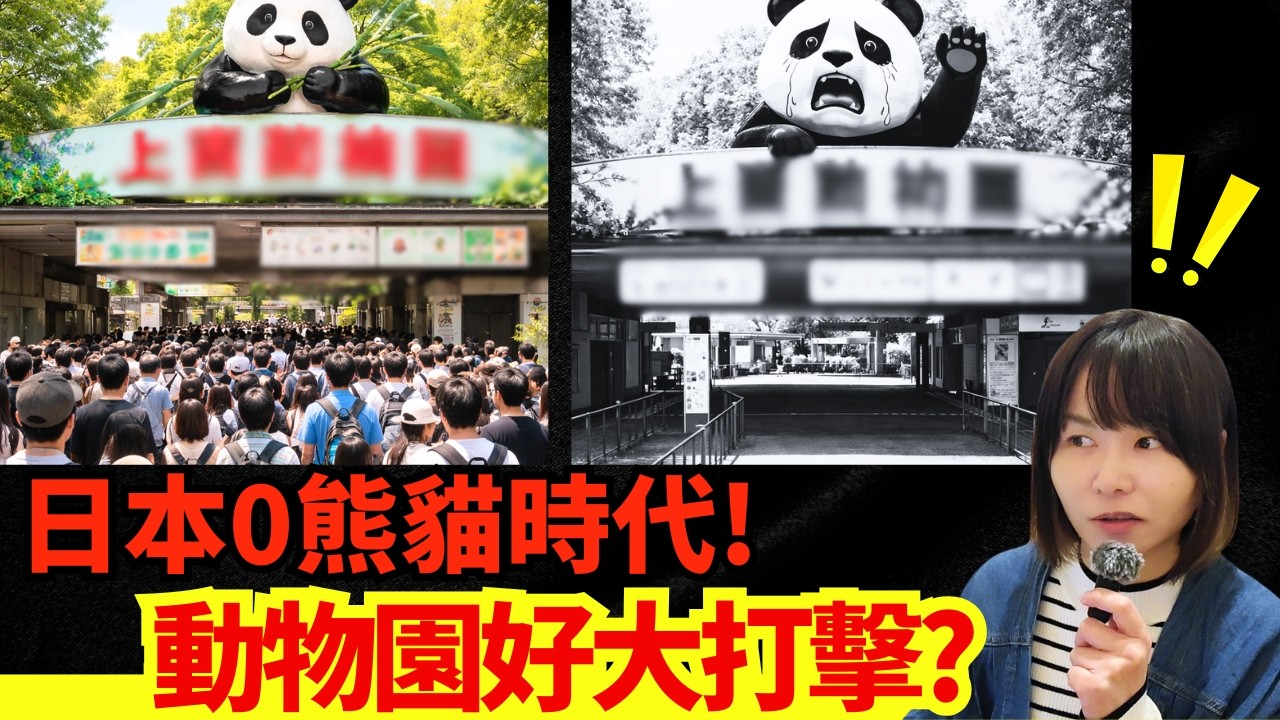 【日本資訊🚨】日本租熊要幾錢? 歸還熊貓是否會損失慘重? 美籍男子東京偷貨車狂飆被捕!