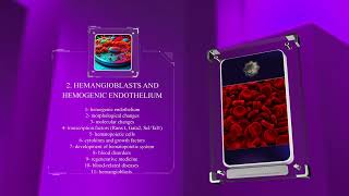 Development of the Hematopoietic System