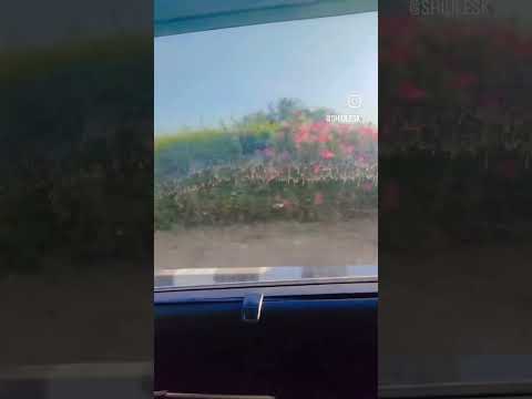 Hajarohe Bate Magar Bakt He Like Comment Share Viral Subscribe Shiule Short Video