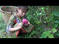 Primitive Life - Forest people seeking food and natural fruits meet ethnic girl