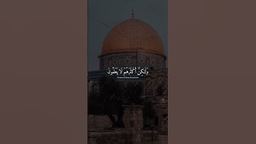 الإ أن وعد الله حق القارئ عبد الرحمن مسعد