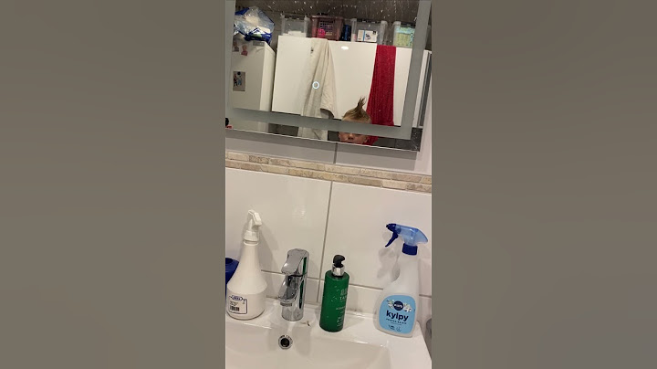 POV:Kun sun kaveri sanoo että leikkaa irokeesi, vastaat "BET!"