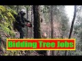 Bidding Tree Work