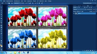 Как поменять цвет картинки в Фотошопе (Photoshop)