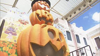 一足早くハロウィーン気分…魔女やオバケがモチーフの料理やフォトスポットも　志摩スペイン村で「ハロウィーンフィエスタ」始まる　三重