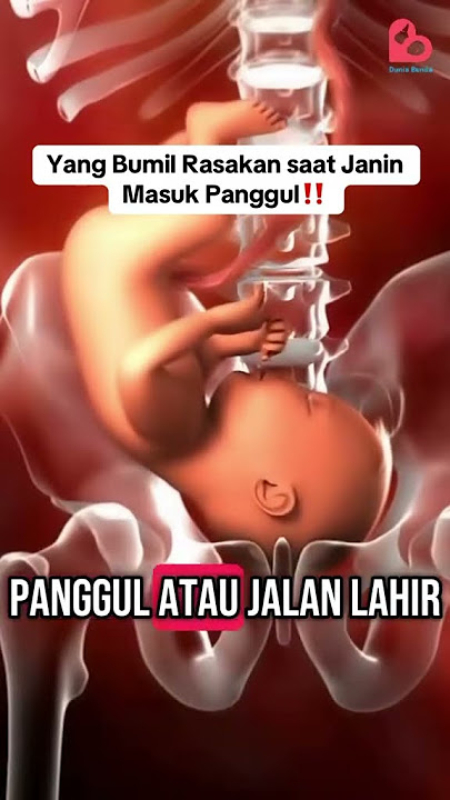 Yang dirasakan ibu hamil saat janin mulai masuk panggul..