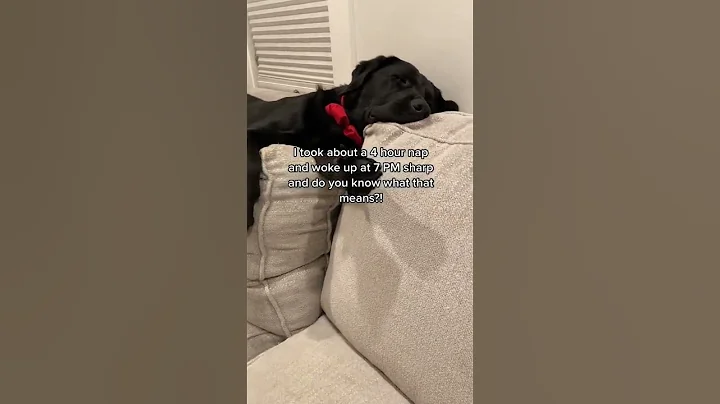Please contact your local ASPCA . King Clarence DE...