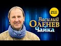 Василий Оленев - Чайка (Official Video, 2023)