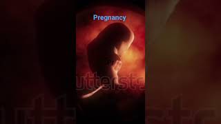 Fetal Development |  baby development from 0 to 9 months | baby development video