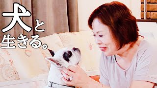 上沼恵美子が犬と生きる人生について語ります。