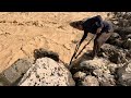 The effort of a nomadic family to collect firewood from the flooded river in iran