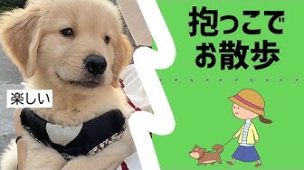 しゃべる犬 Youtube