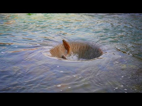 Swirl Fishing / Whirlpool / Girdap Metodu İle Balık Avı / İnanılmaz