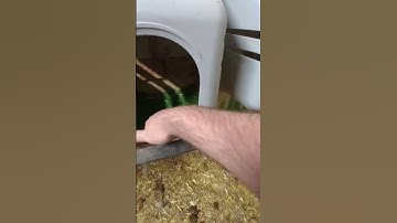 Easy to maintain nesting Boxes