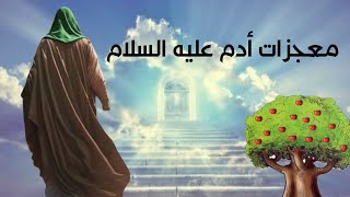 معجزات ادم عليه السلام/ ابو البشر