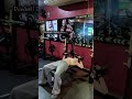 3 Bench Angles For Complete Chest Development 💪 #chestworkout #gym #fitness #girlworkouts #shorts