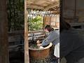 【京都天橋立・伊根】最強パワースポットを巡る大人の女子旅1日プラン!