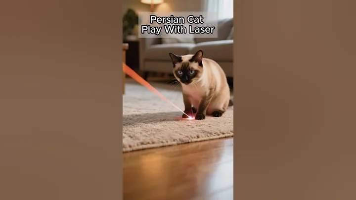 Video 11170901: persian cat cutecat kitten, persian cat kucing, persian cat kitten playing, persian cat kittens funny, persian cat kitten animal