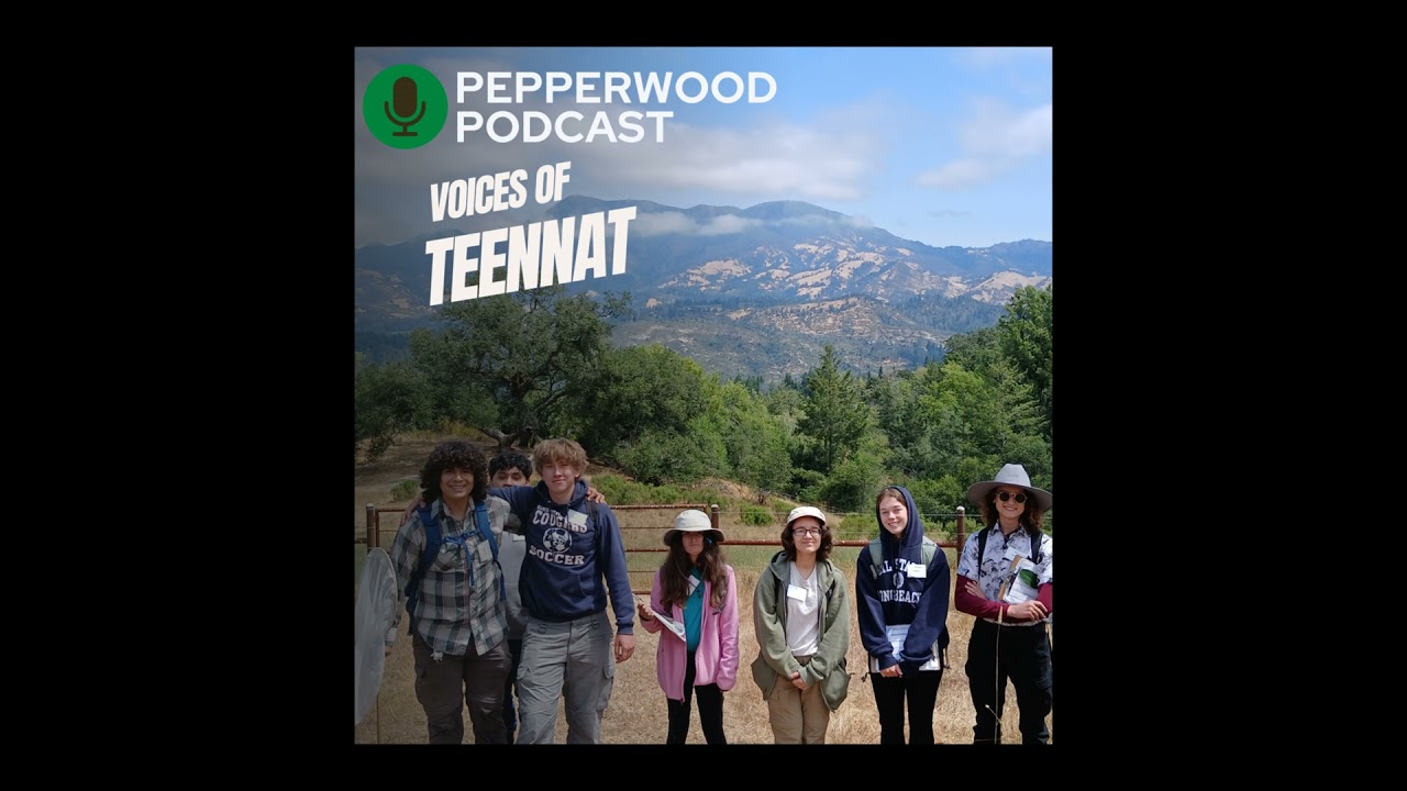 Voices of TeenNat