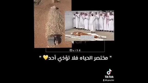 القارئ ماهر المعيقلي - سورة الزمر