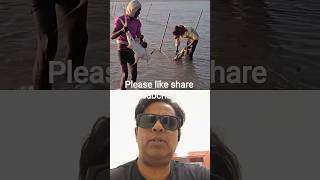 দারুণ কৌশল মাছ ধরার #duet #fishingvideo #handfish #viral #viralfishing #viralvideo #reels