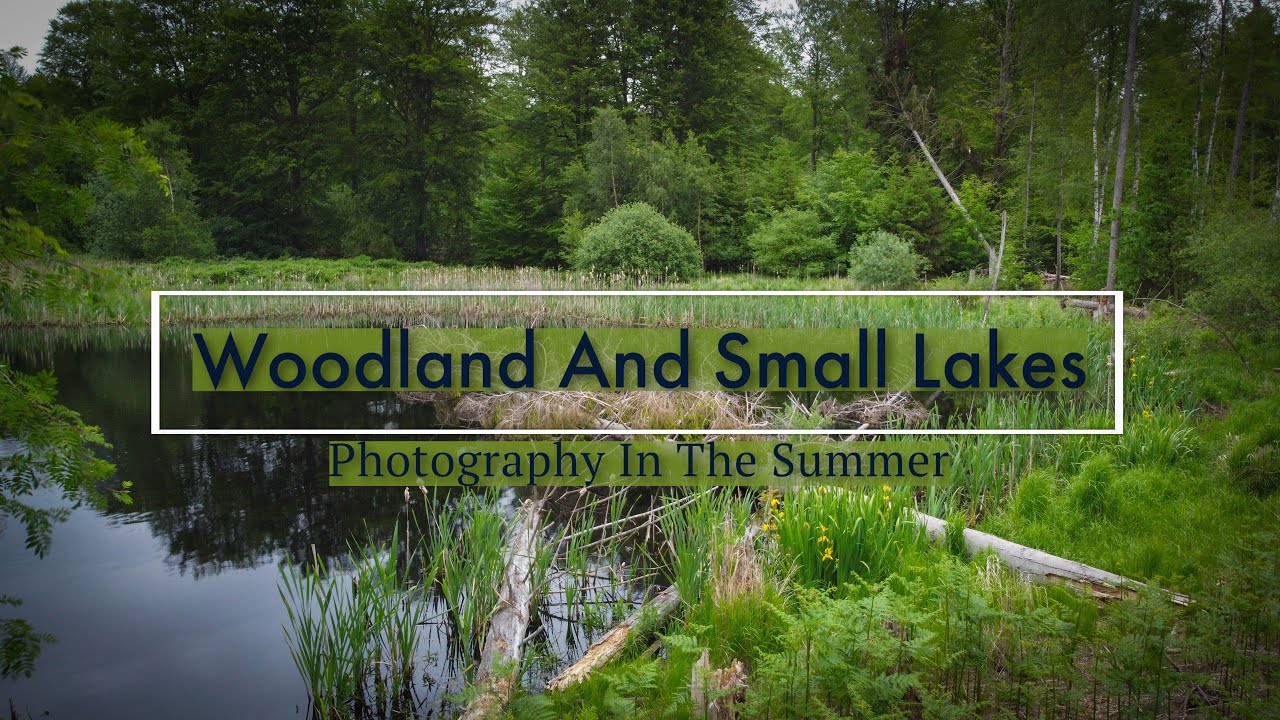 Woodlands Local Examples