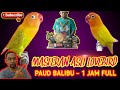 Masteran Asli Lovebird Balibu paud || Durasi 1jam 20 menit